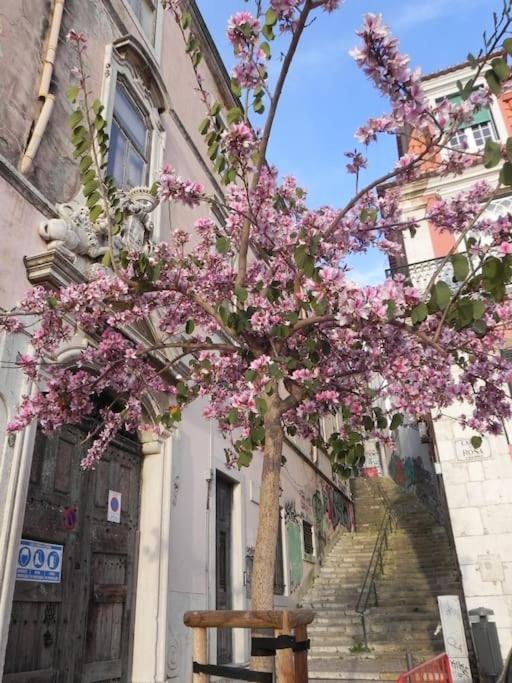 Apartament To+1 Dowtown Lisbon Luaran gambar