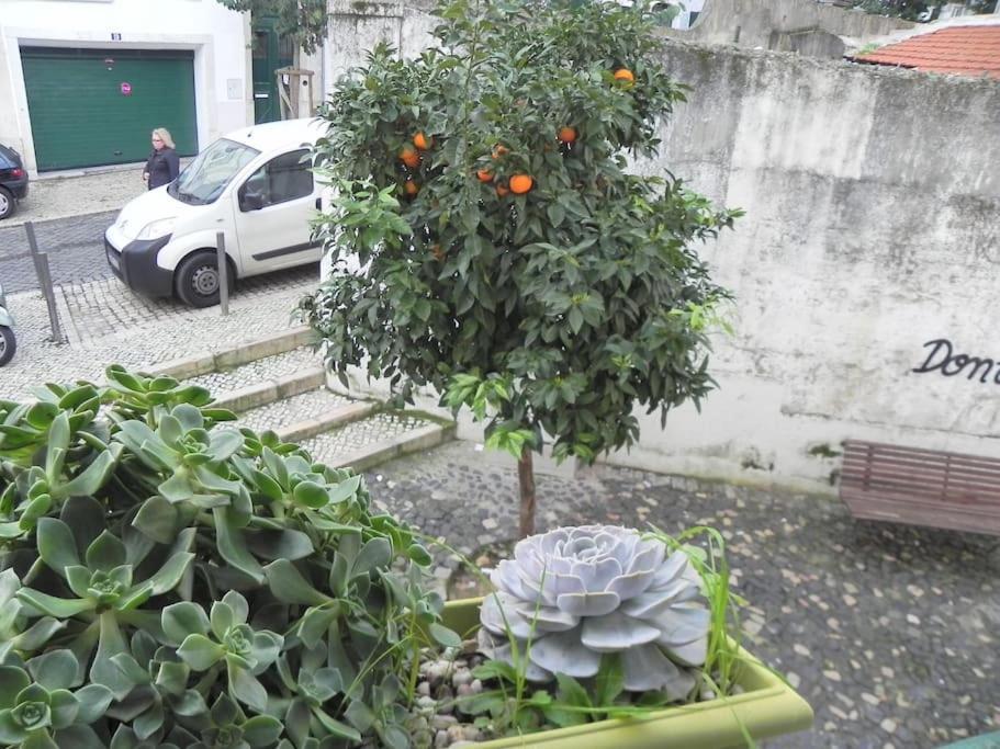 Apartament To+1 Dowtown Lisbon Luaran gambar